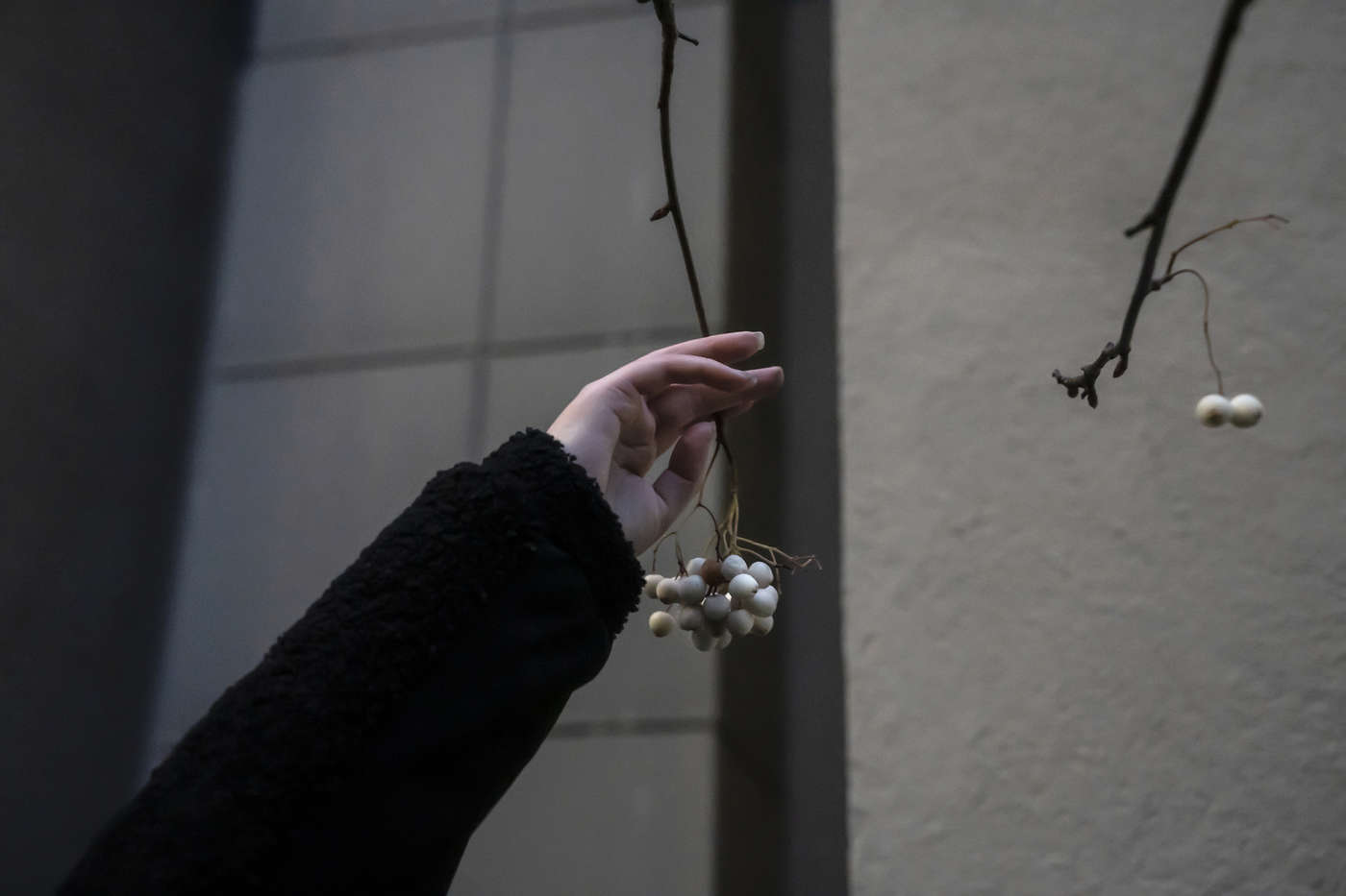 Дарья Новикова