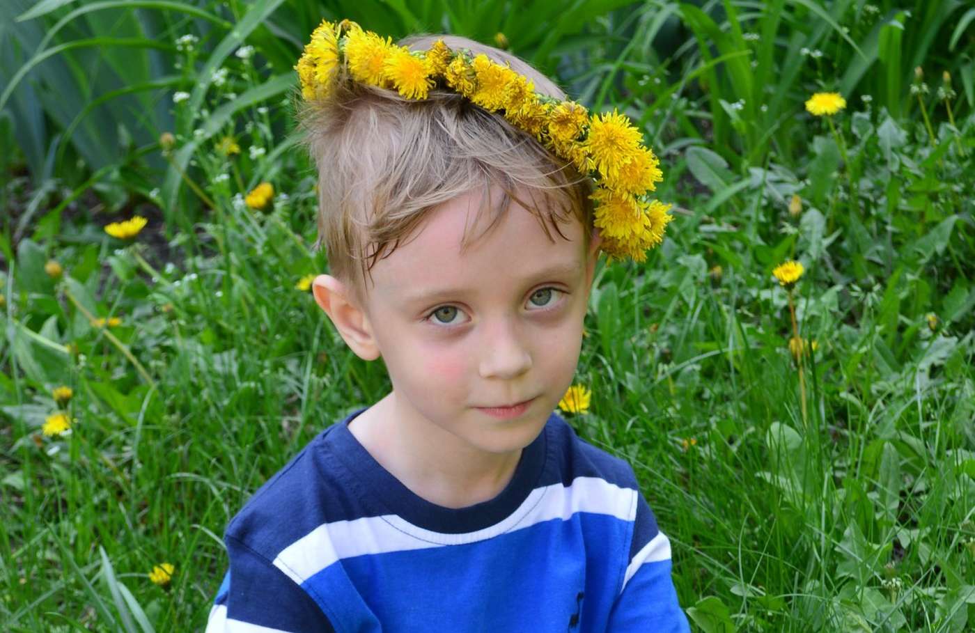 Иван Кривенко