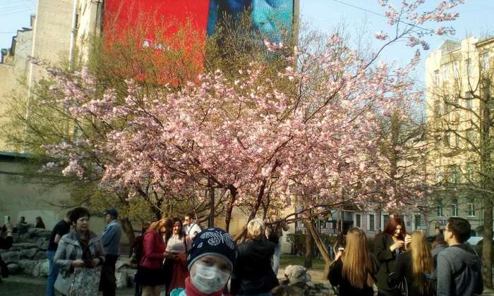 Анастасия Селезнёва