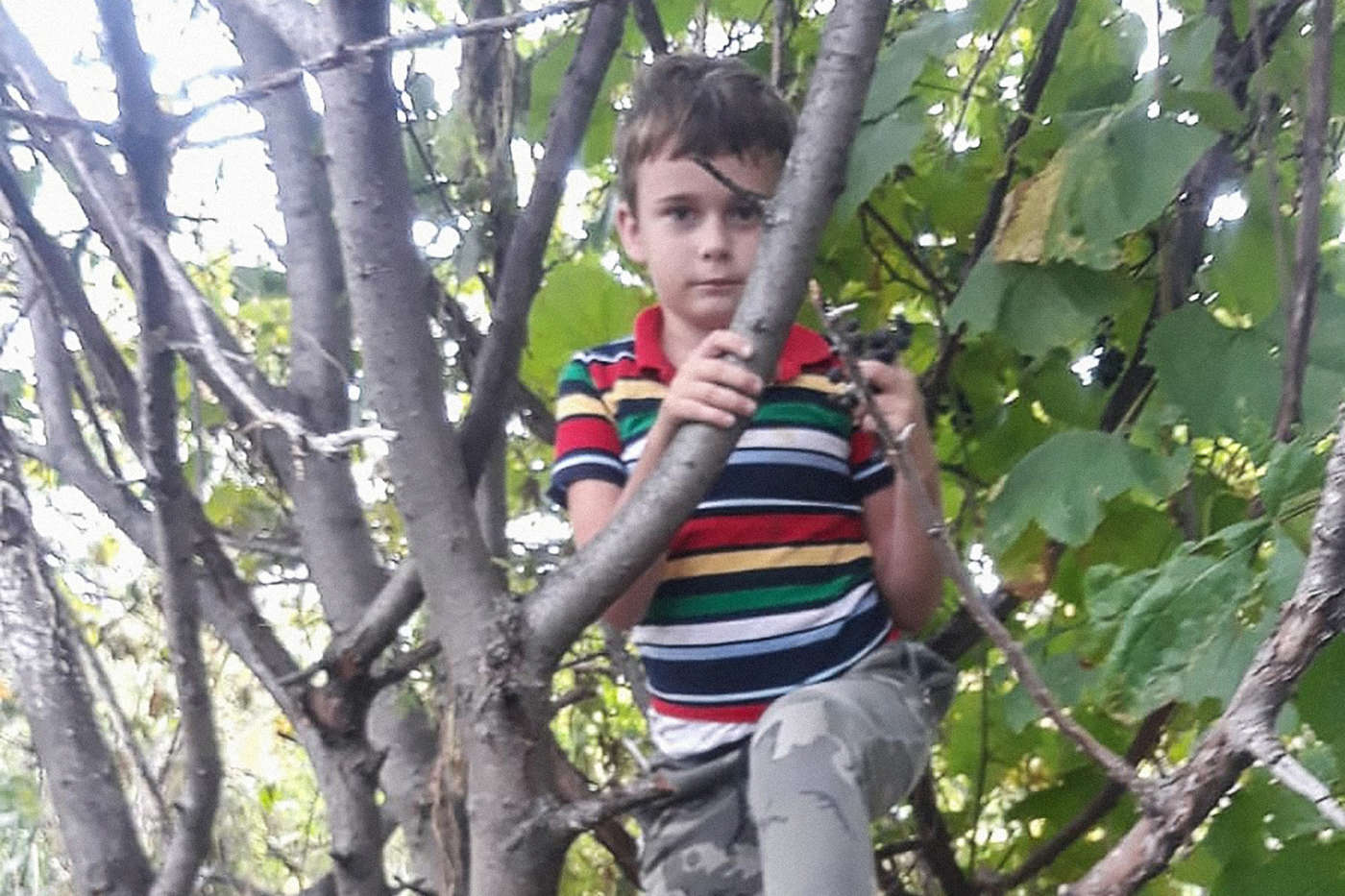 Ярослав Ловягин