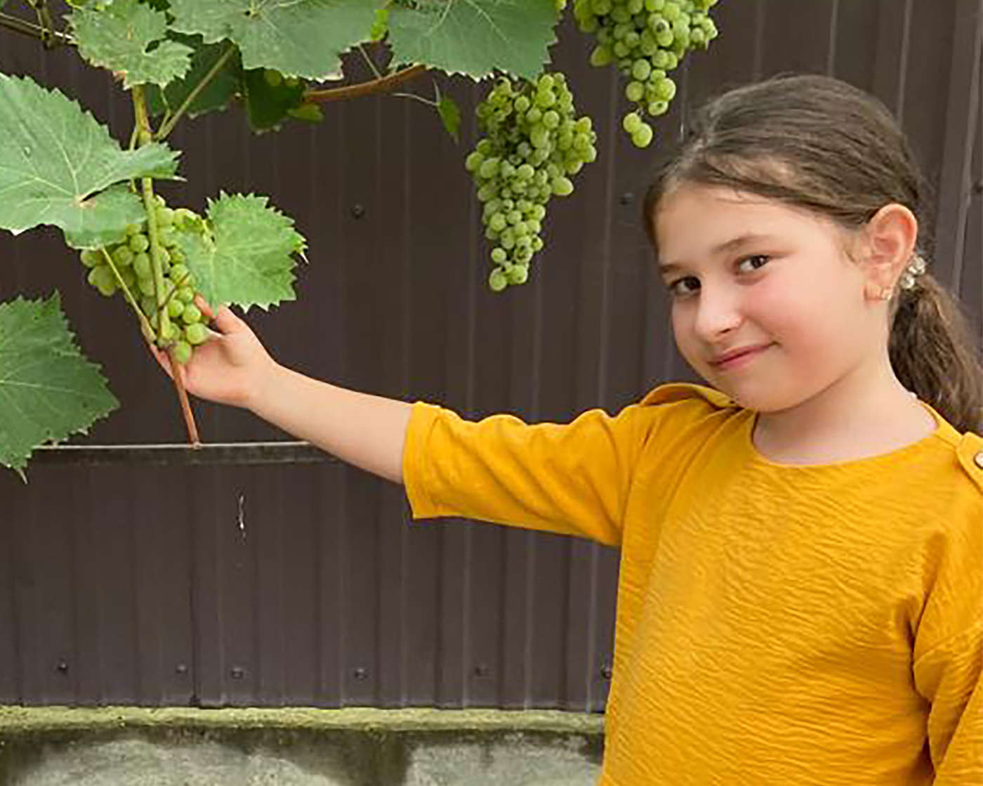 Амира Амиева