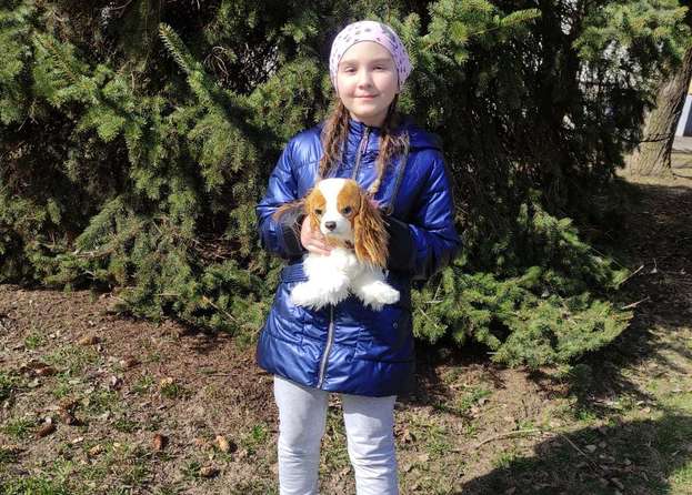 Дарья Загоровская