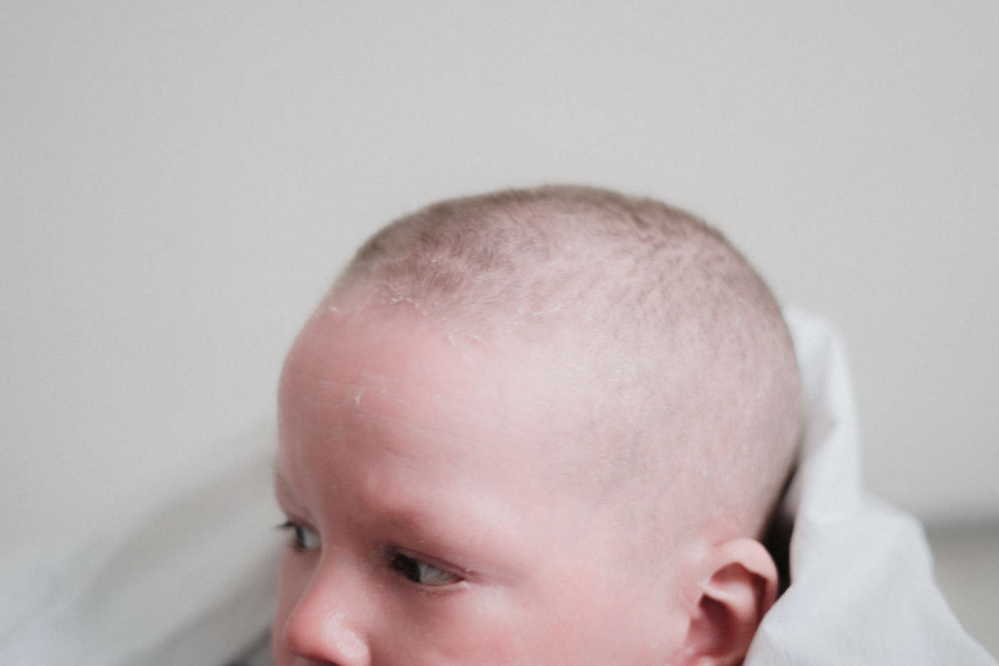 Егор Звонилкин