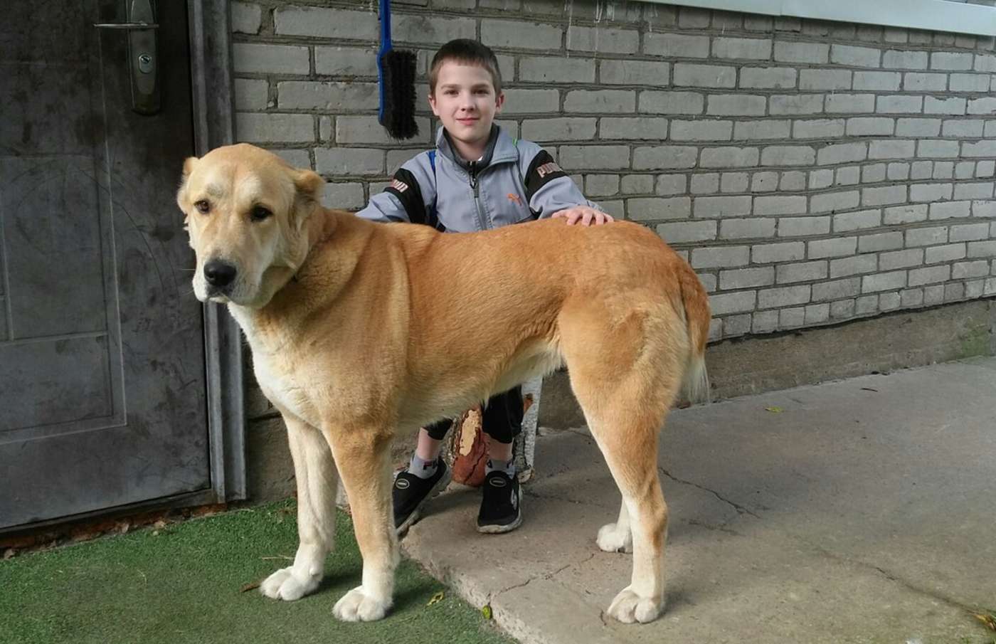 Илья Головин