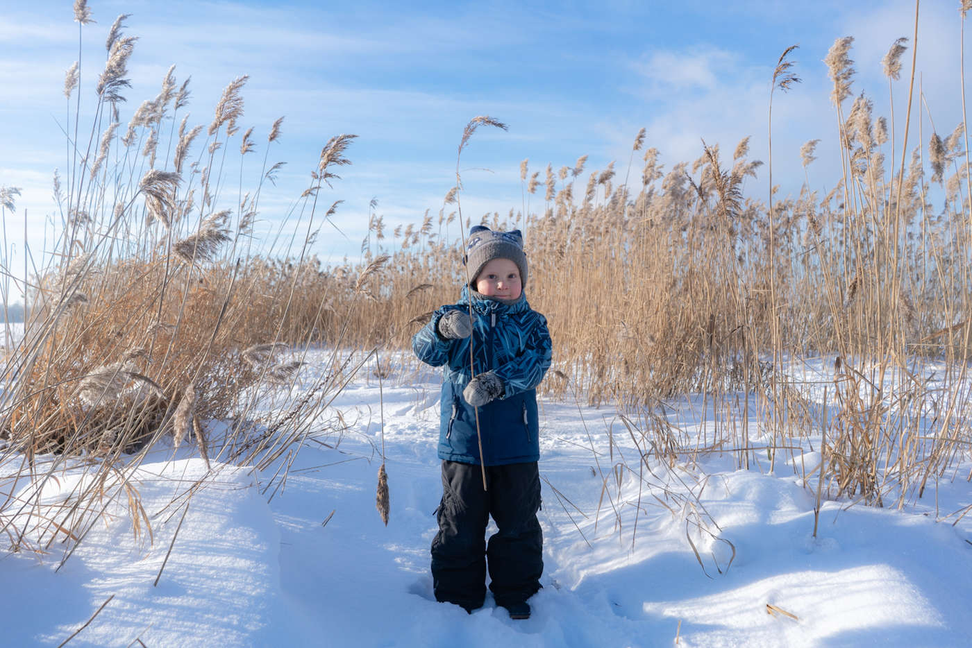 Тимофей Степанов