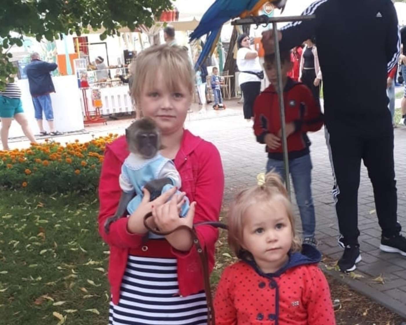 Марина Николич