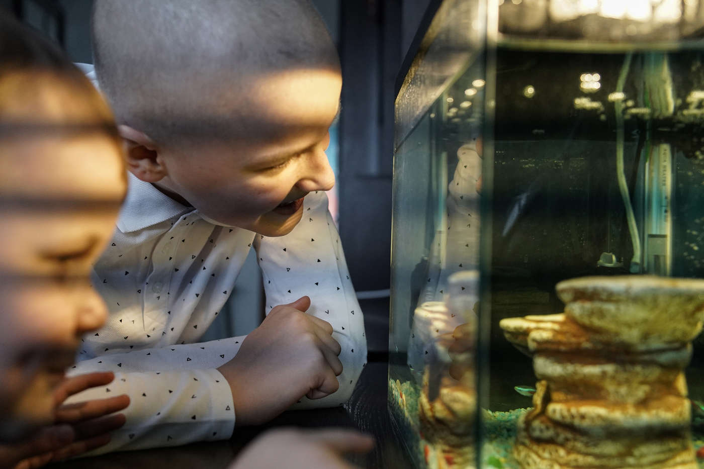 Кирилл Марков