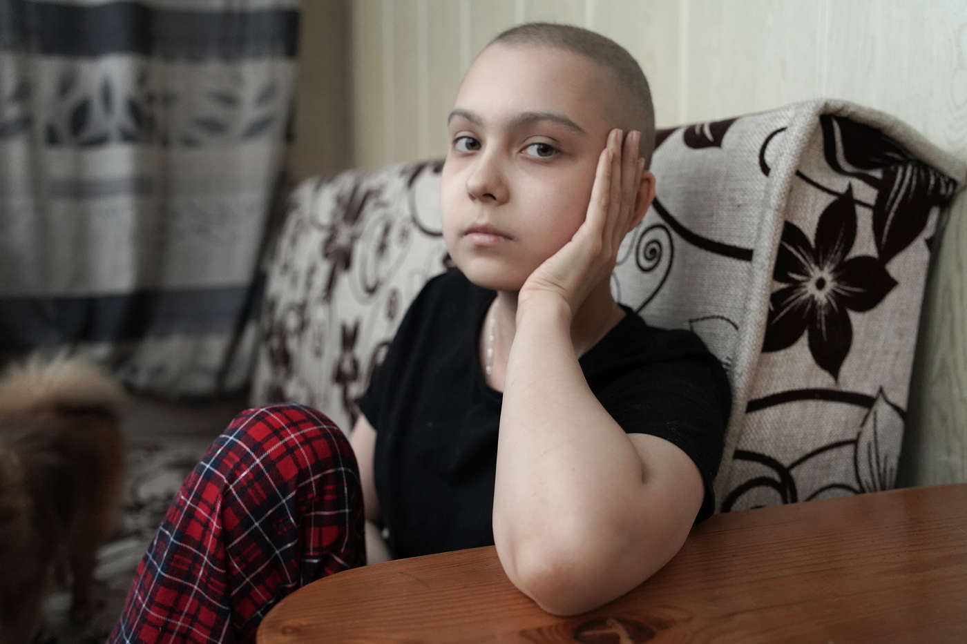 Софья Евтушенко