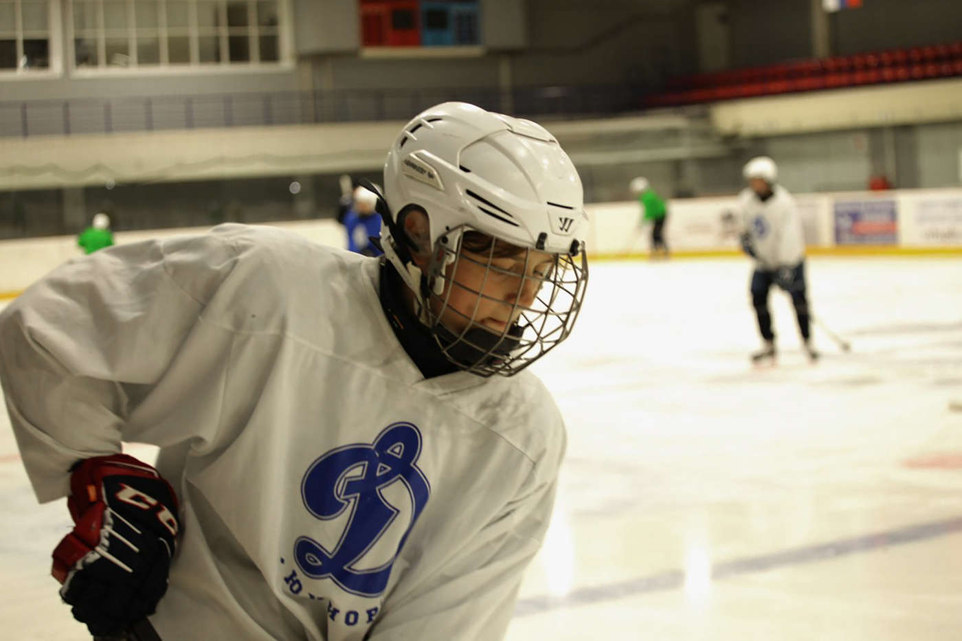 Александр Гаврилов