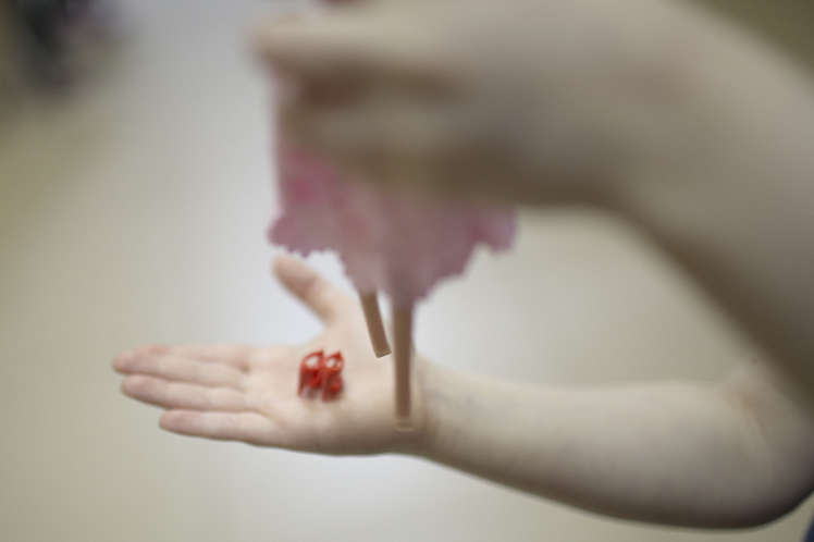 Полина Низовцева