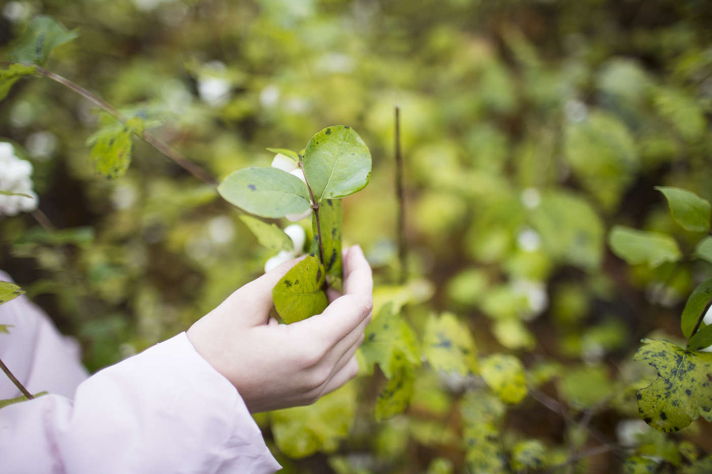 Ксения Петрова