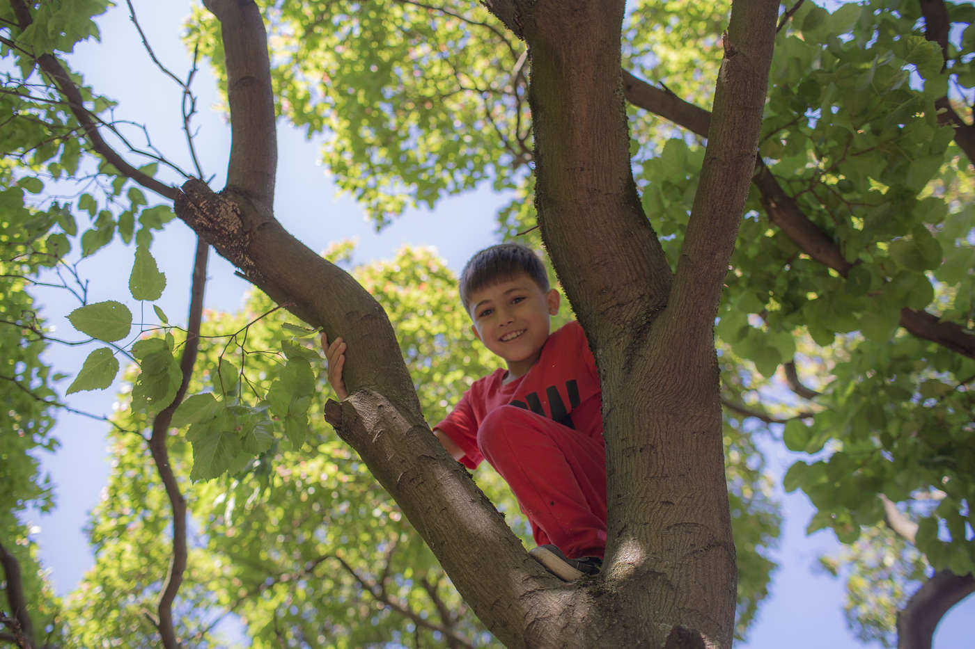 Орджан Гасымов