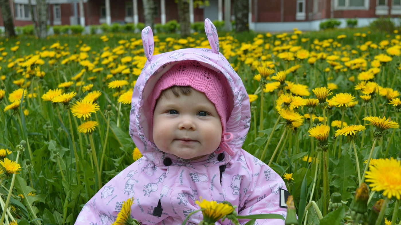 Ксения Гордеева